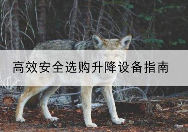 双城升降货梯厂家推荐-*安全选购升降设备指南