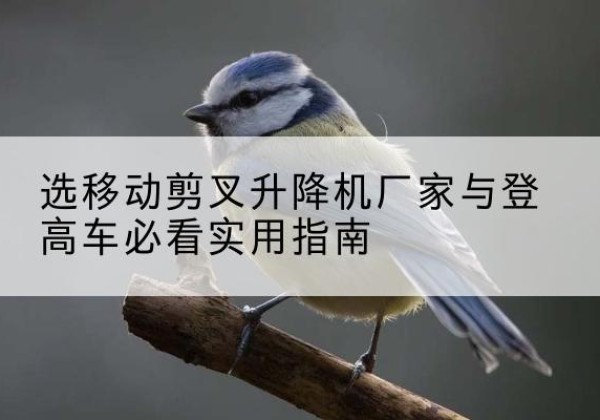 双城电动升降机厂家-选移动剪叉升降机厂家与登高车必看实用指南